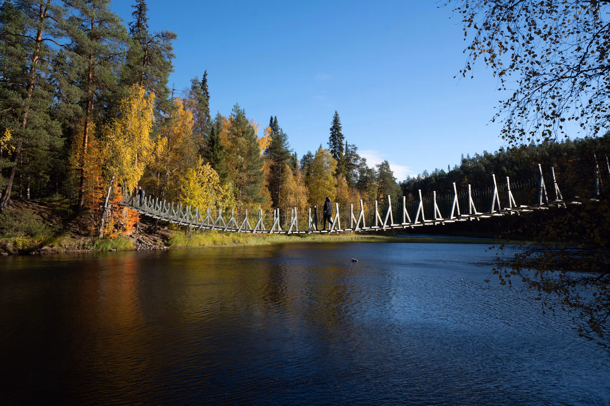 Exploring Adventure Travel: Embrace the Thrill of the Journey